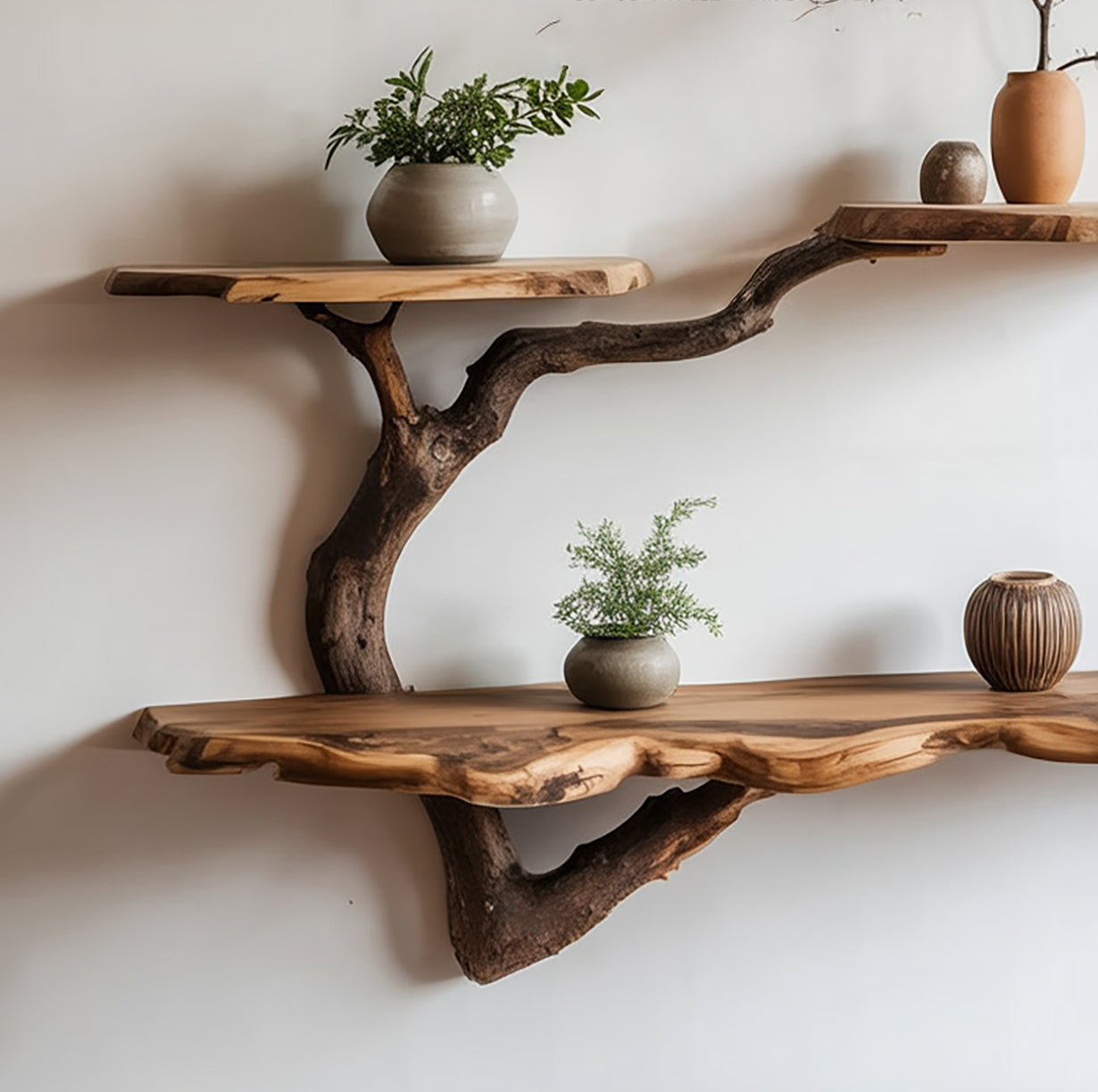 Bibliothèque Flottante Branche d’Arbre en Bois Massif Recyclé