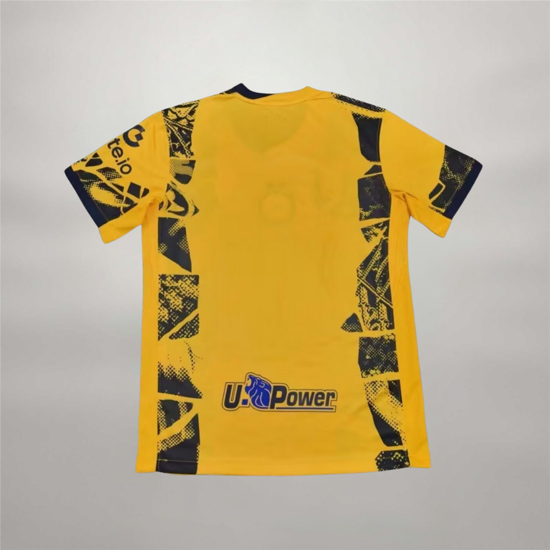 Inter Jersey Third 2024/25